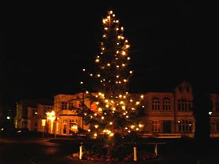 Weihnachtsbaum in Zinnowitz